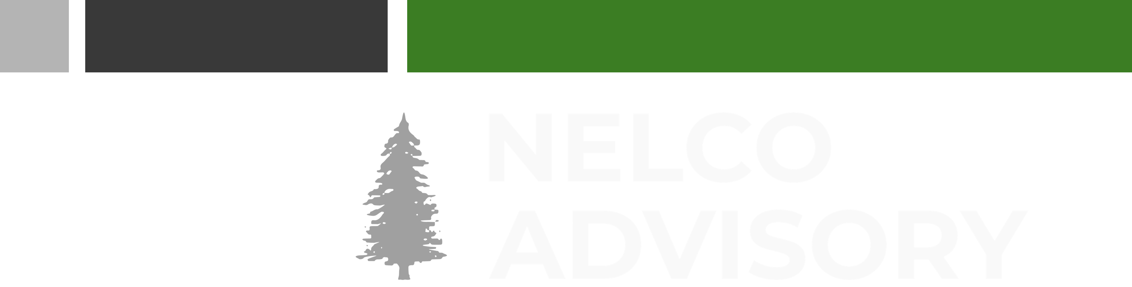 Nelco Advisory